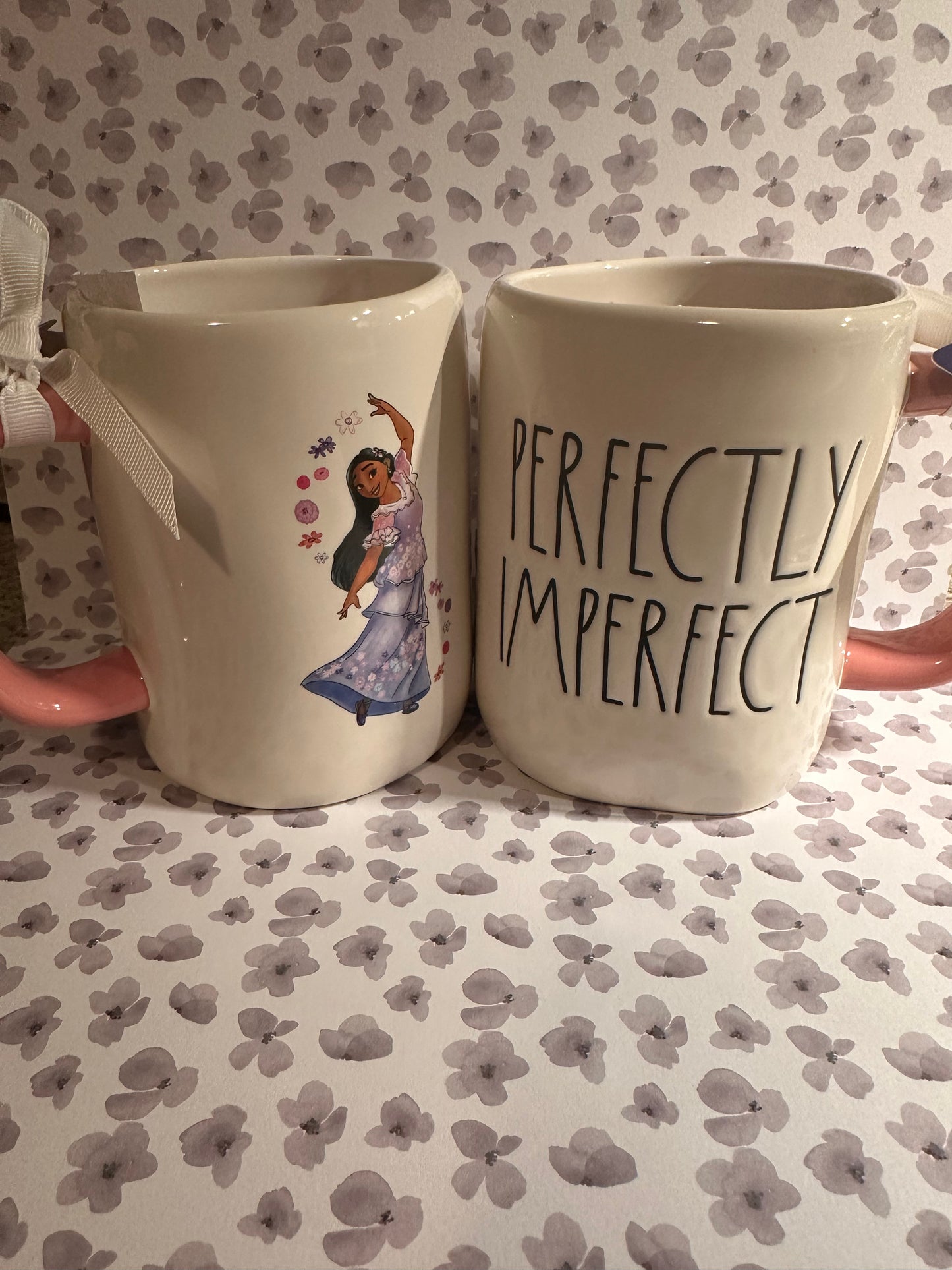 Rae Dunn Disney Encanto Perfectly Imperfect