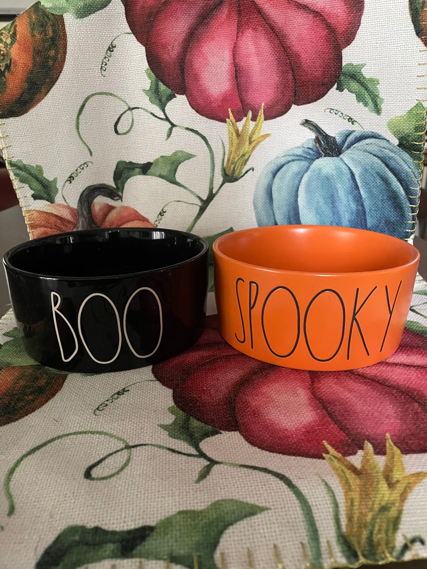 Rae Dunn medium pet bowls