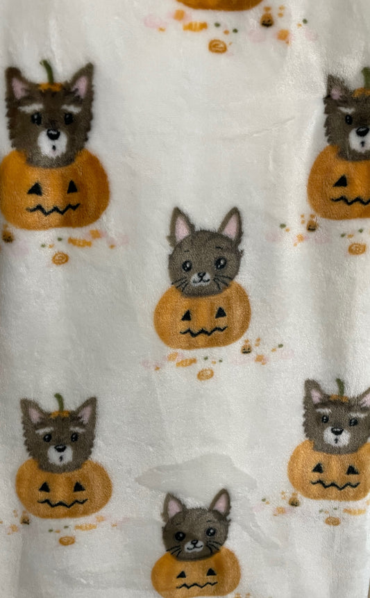 Tick or Treat white dogs and cats in pumpkins throw